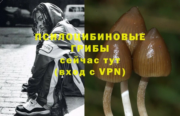 мескалин Карталы