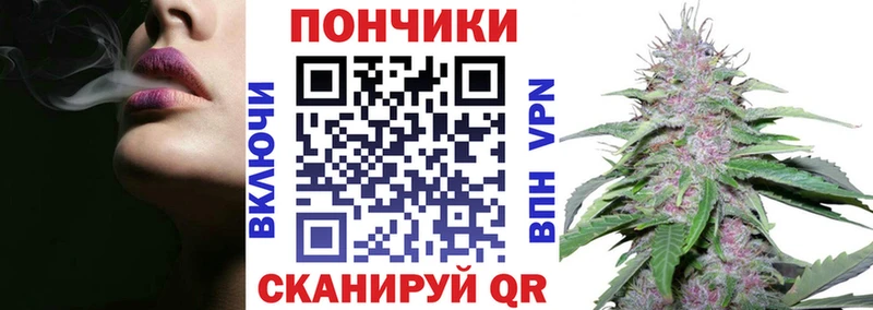 Купить где Бакал Бошки марихуана ГИДРОПОН